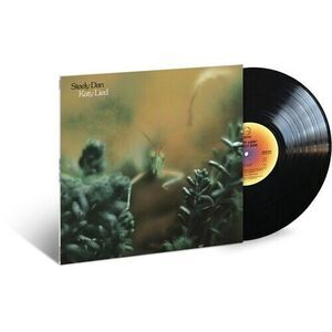 Katy Lied